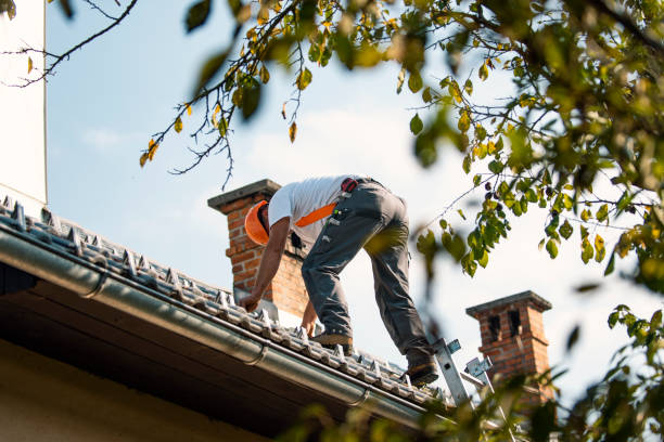 Best Roof Repair Services  in Madison, MN