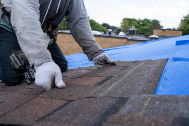 Quick and Trustworthy Emergency Roof Repair Services in Madison, MN