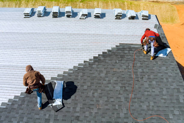 Best New Roof Installation  in Madison, MN