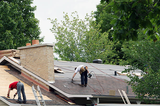 Best Roof Restoration Services  in Madison, MN
