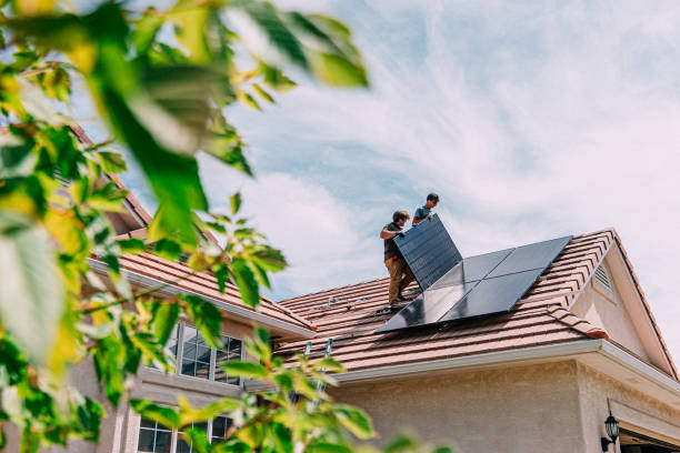 Best Roof Gutter Cleaning  in Madison, MN