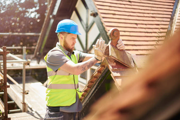 Best Slate Roofing Contractor  in Madison, MN