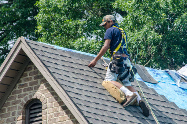 Best Residential Roof Replacement  in Madison, MN